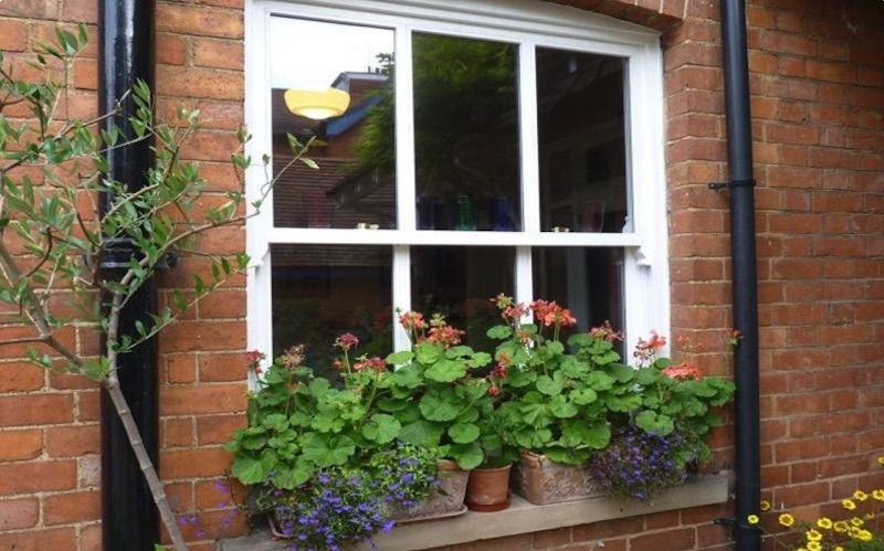 Best Timber For Sash Windows: Which Species Performs Best in UK Weather?